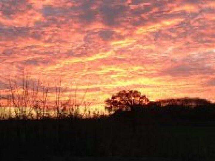 aqueduct sunset