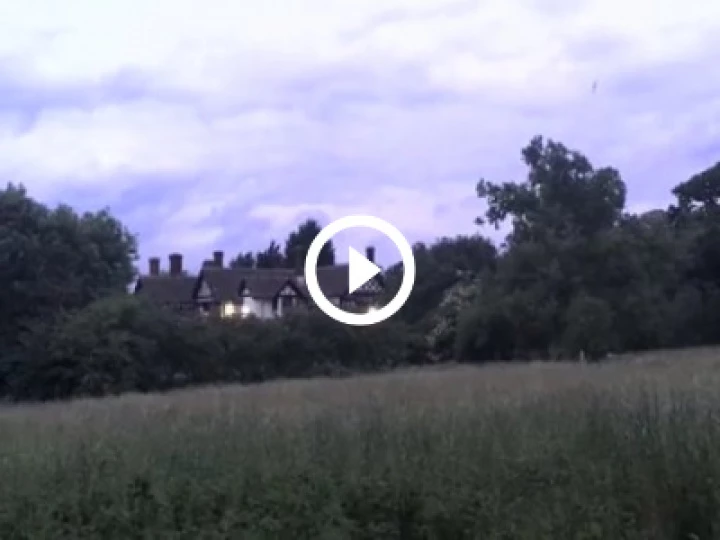 Bats in Gleb