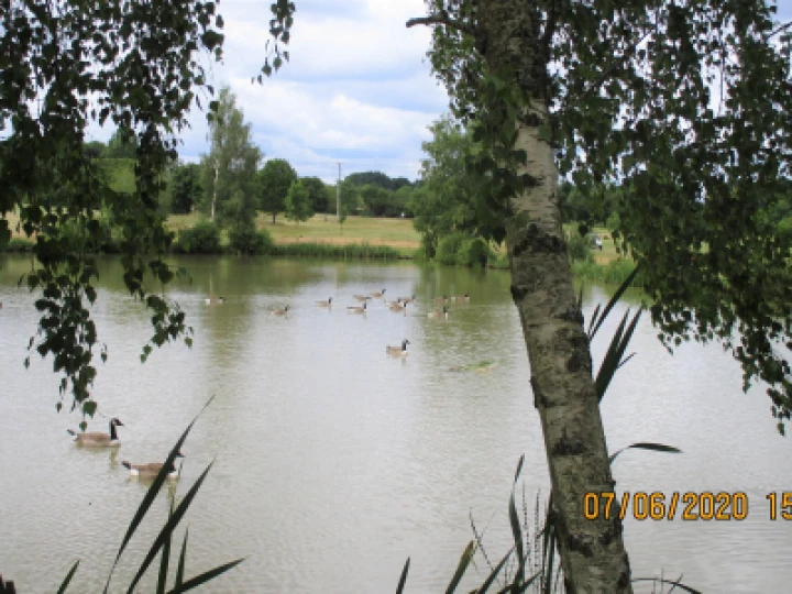 Lake picture (2)