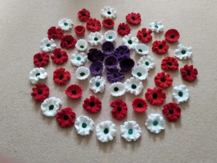 Helen's poppies