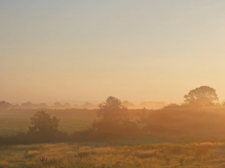Misty Morn_JT