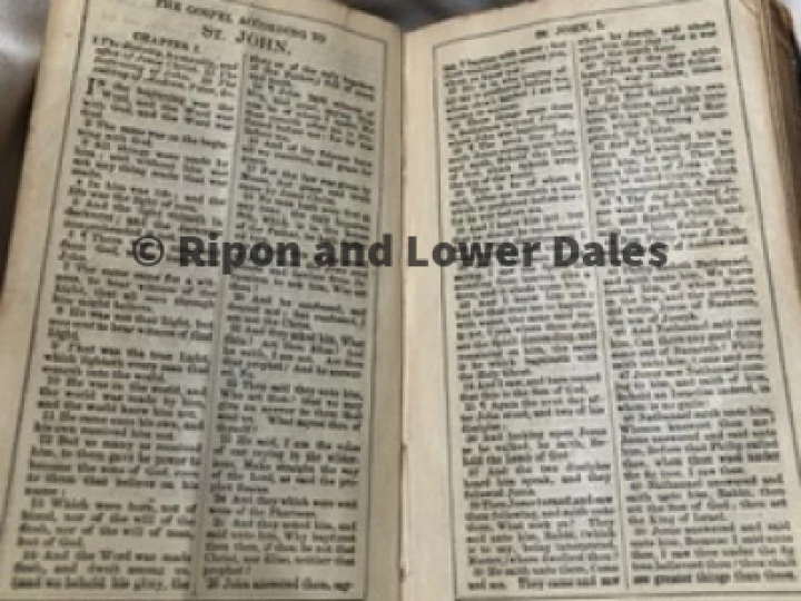 Bible IP
