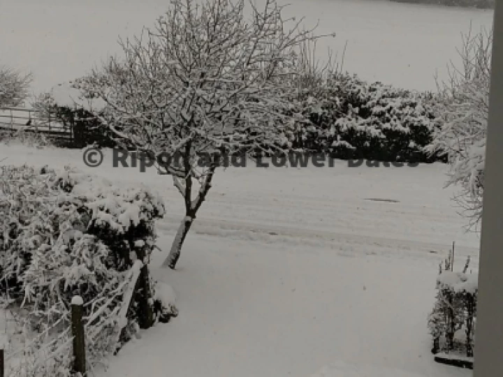 View from the office window