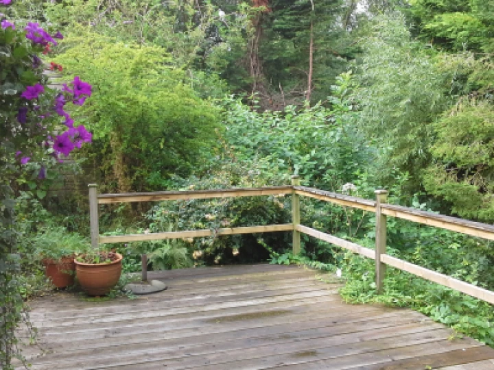 Image: 20210728_104909