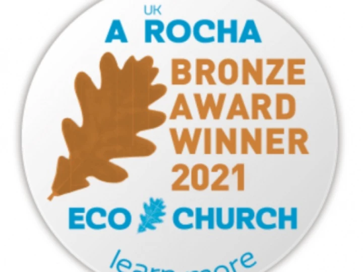 Wesley Eco Bronze