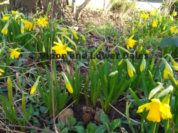 tete a tete (2)