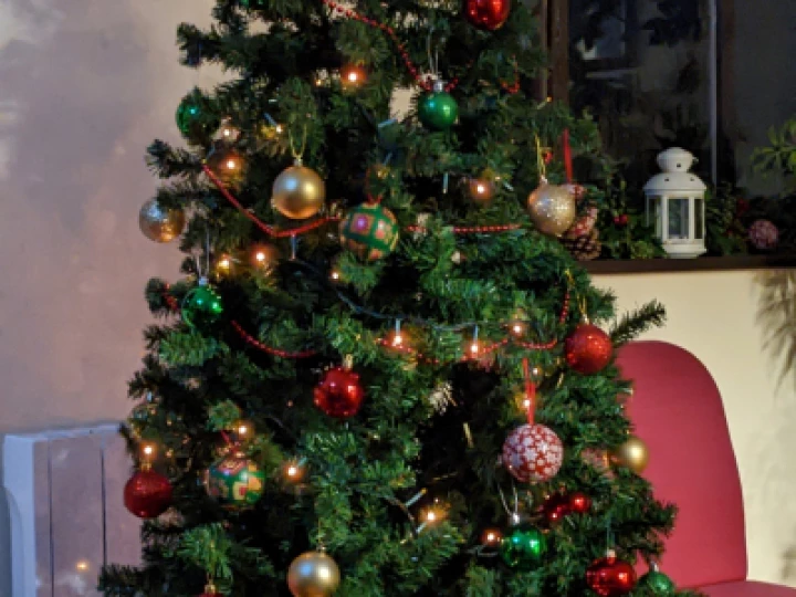 Tree