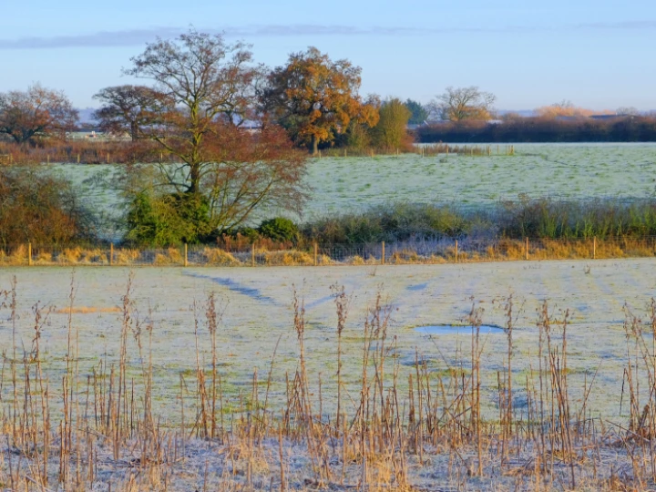 RR Fields of Frost_f4464