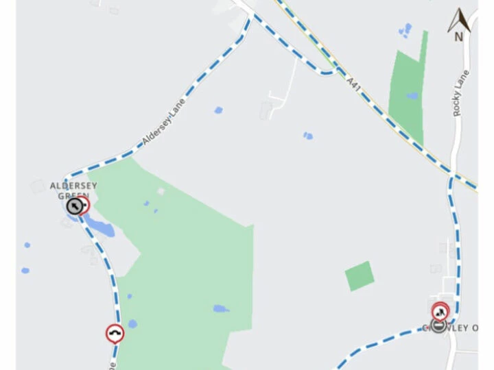 Dog Lane