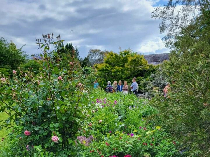 Open garden