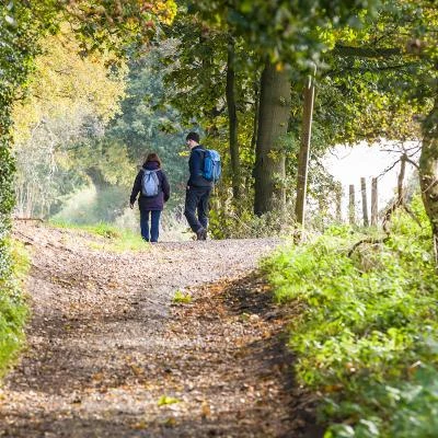 Sandstone Ridge   Walkers in Autumn 49