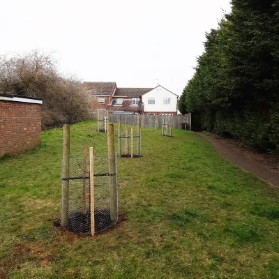 Sheerstock tree planting Mar20_02a