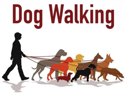 Dog Walking 03a