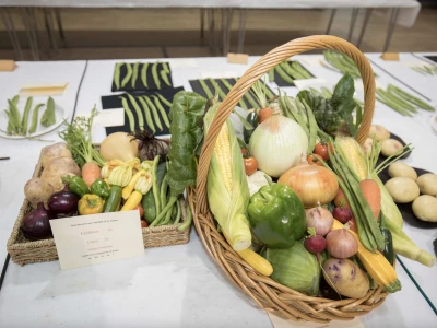 Horticultural Show_Autumn 02