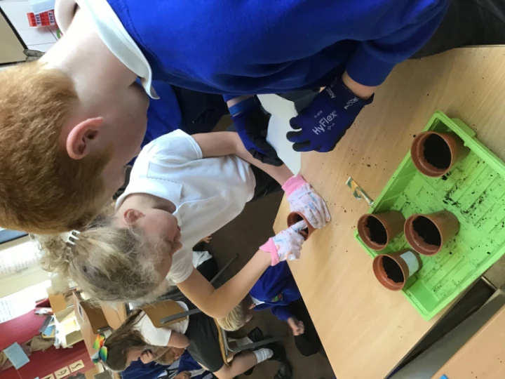 Planting seeds PSHE