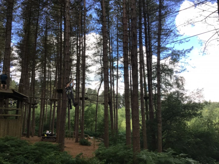 Go Ape