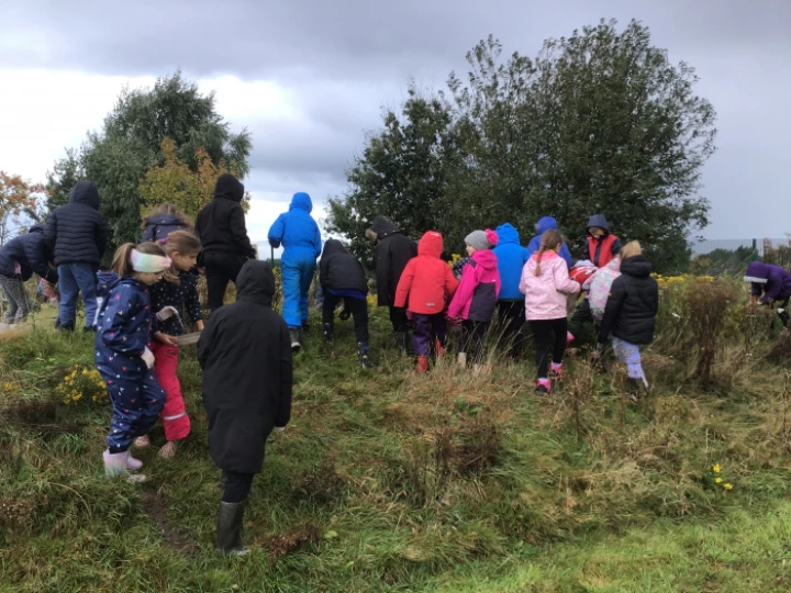 Forest school