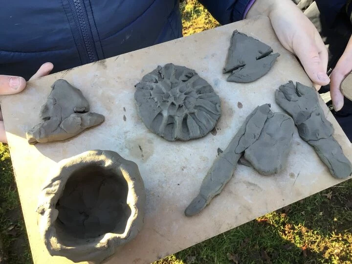Forest schools history