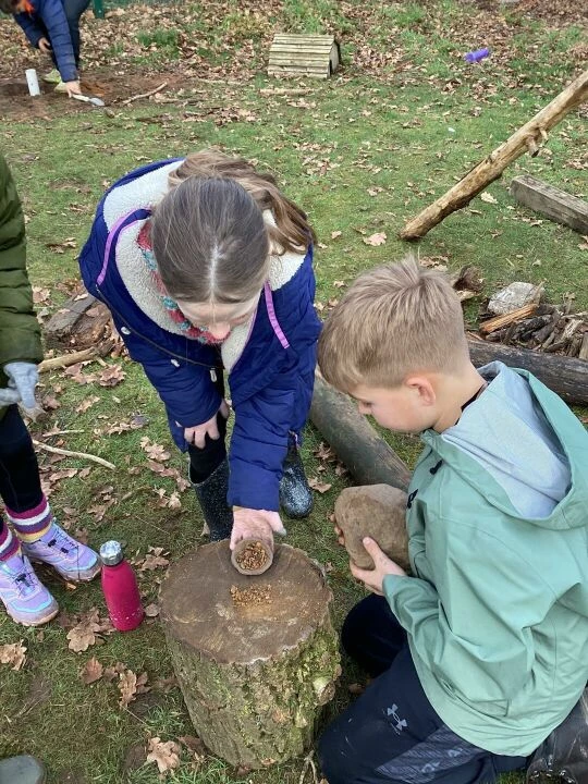 Forest schools history