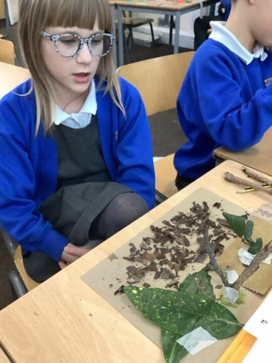 Y3 biomes 2