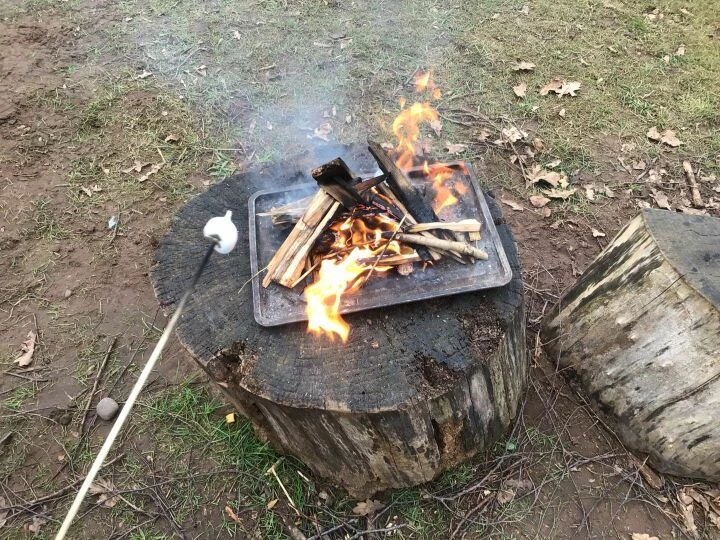 Forest schools