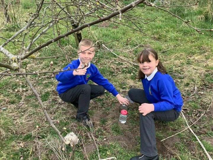 Y3 soil fieldwork 2