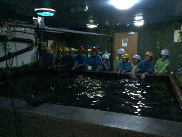 Piranha pool