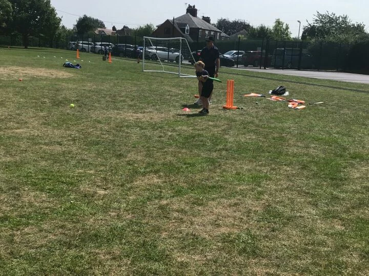 Cricket