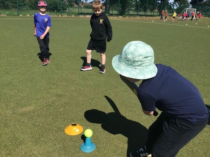 Cricket