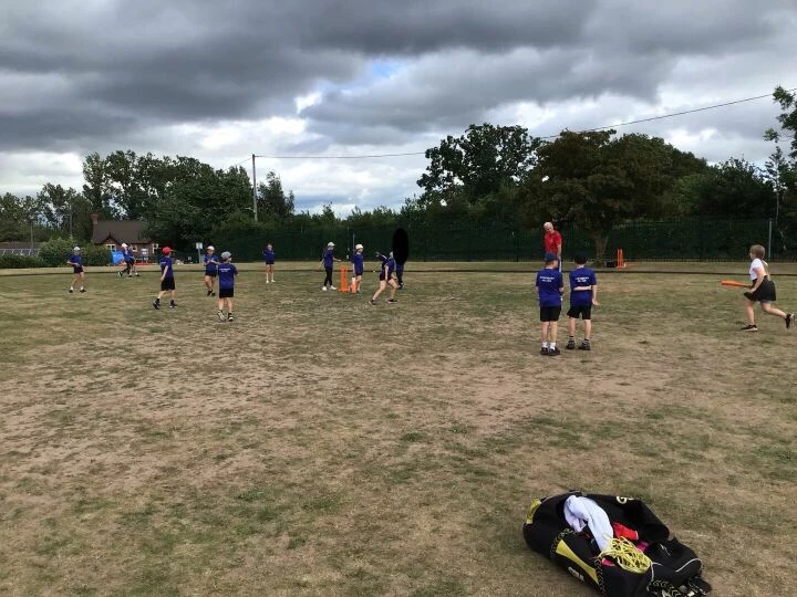 Cricket