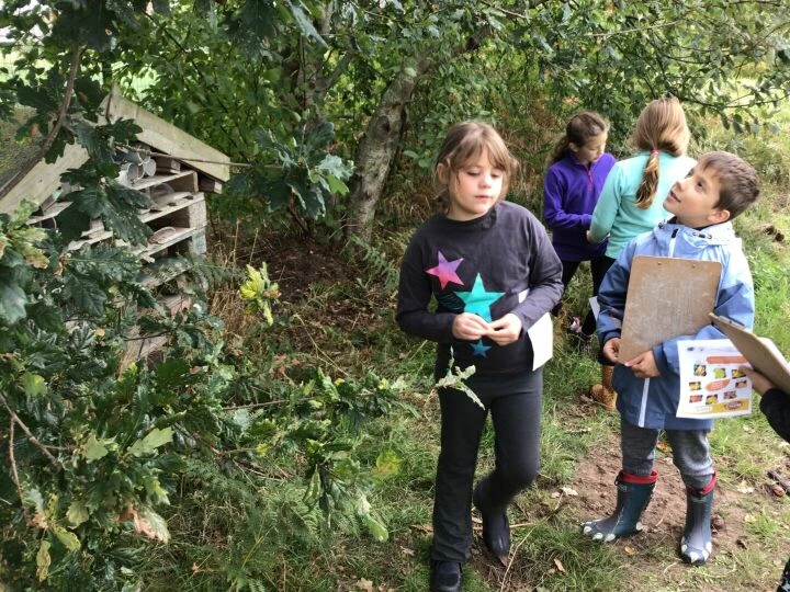 Forest School