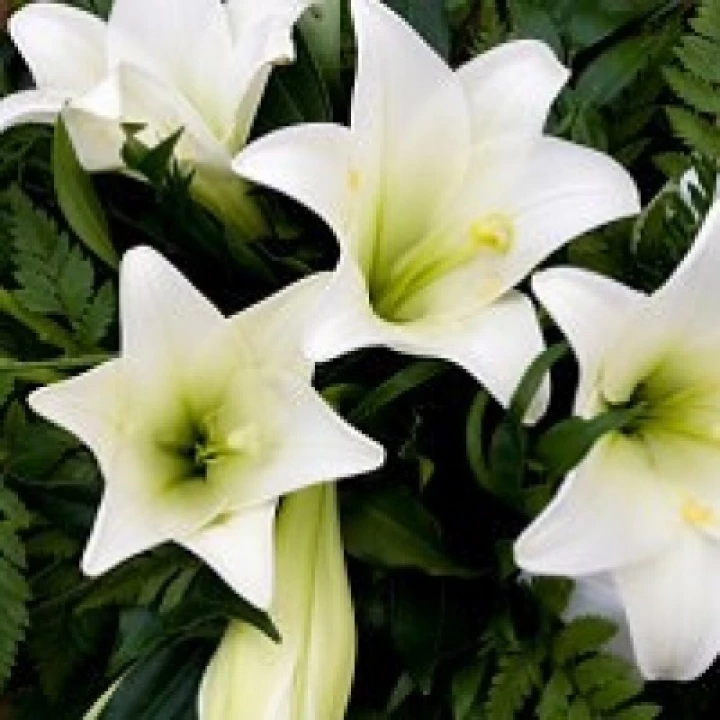Funeral Flowers