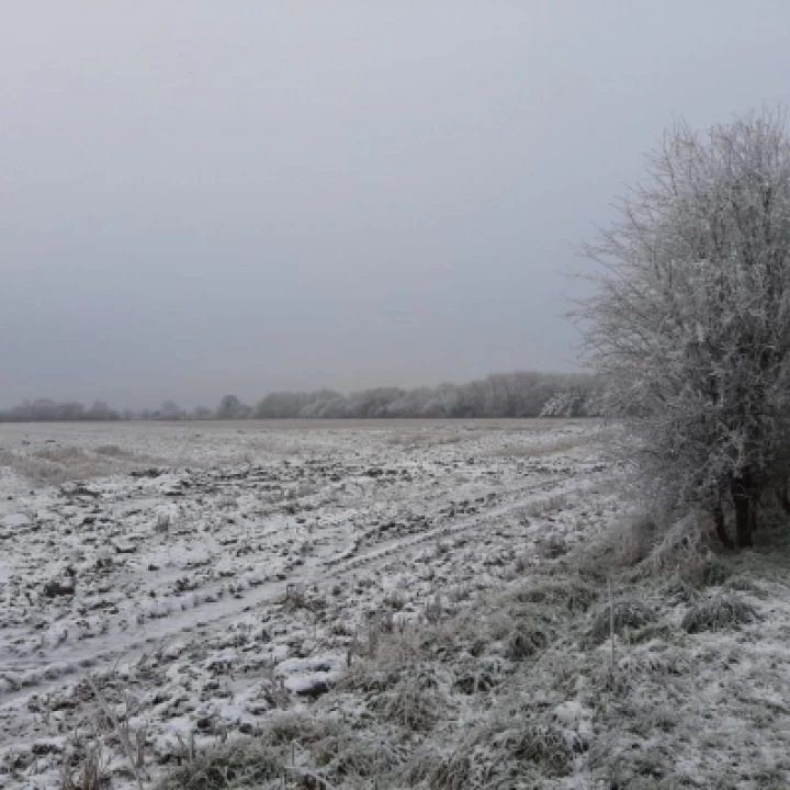 Winter View Field Potters Lane