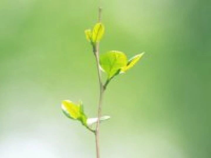 Meditation Image 01