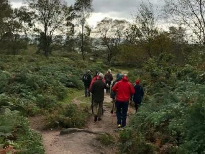 Bickerton Hill 5