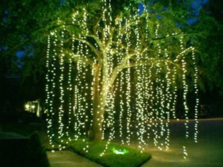 Xmas Tree Lights 02