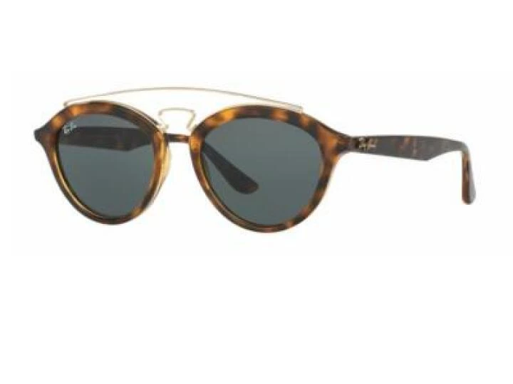 rb4257_710_71_tq Ray-Ban Gatsby II Havana Dark Green