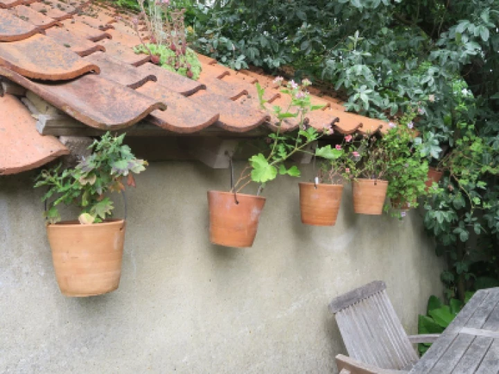 Open Gardens