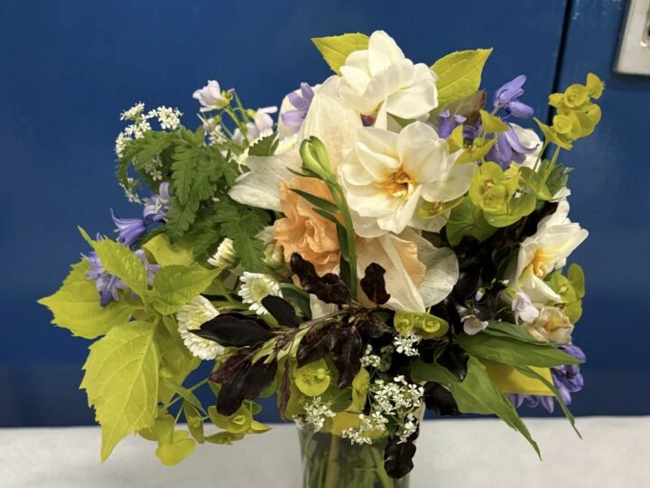 Spring Show Posy