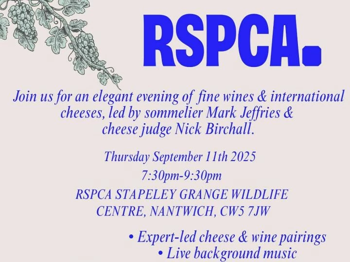 Red Classic Wine Tour Flyer