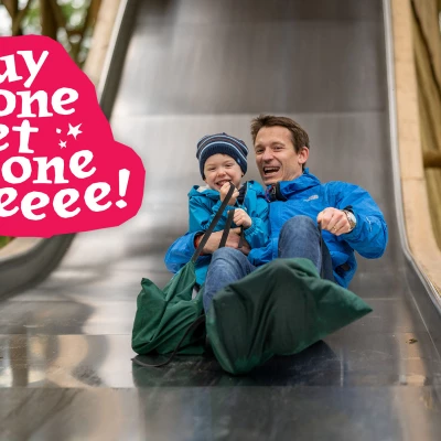 Bewilderwood Cheshire   Buy One Get One Free Offer   Fht23