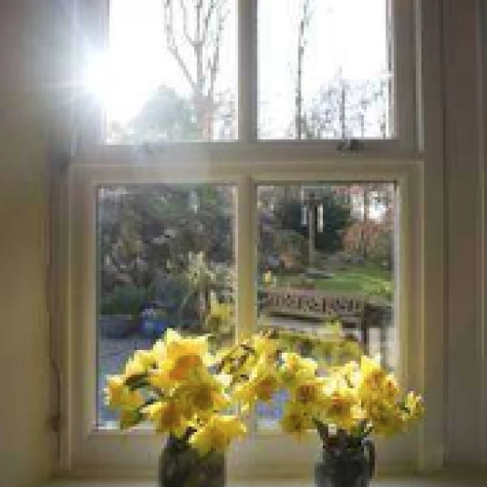 Sunshine Window