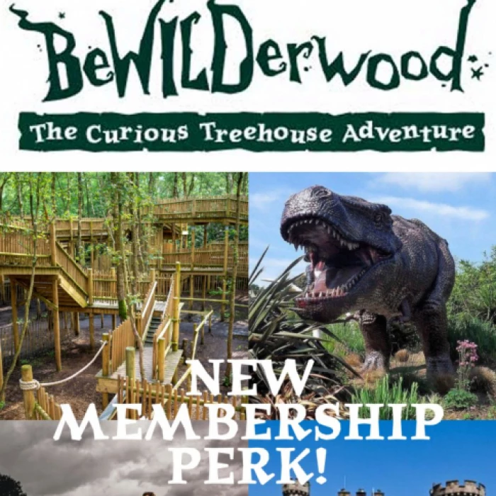 Bewilderwood Perk + Logo 2024