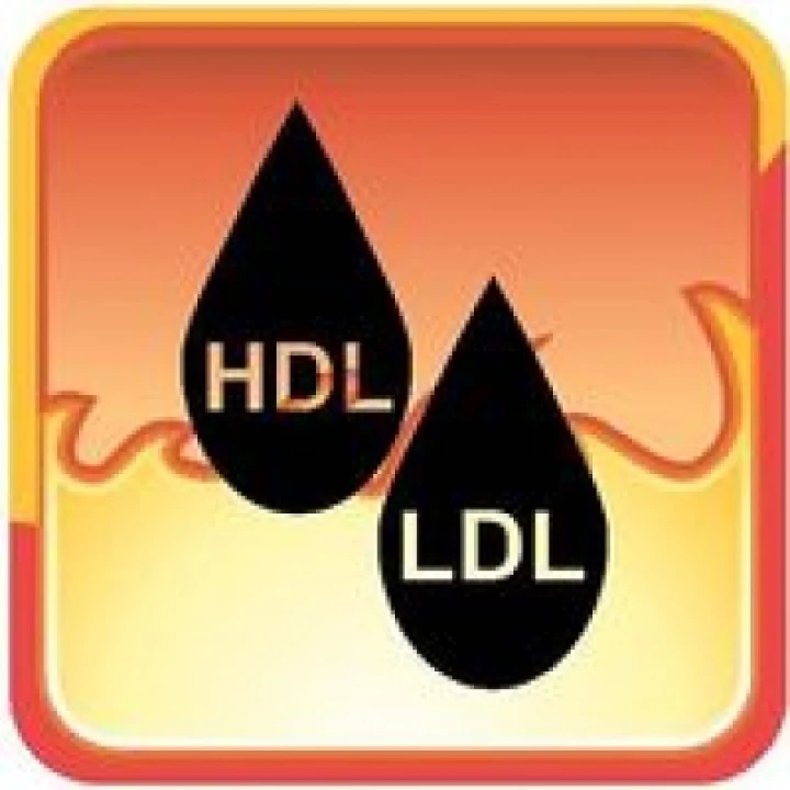 hdl logo