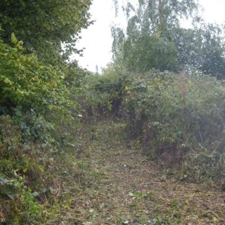 Behind Tarvin Mill (2)