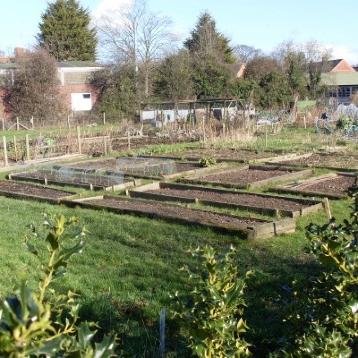 Allotments1