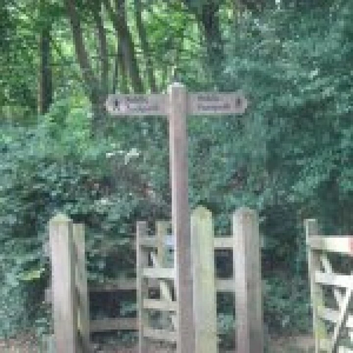 Community Woodland