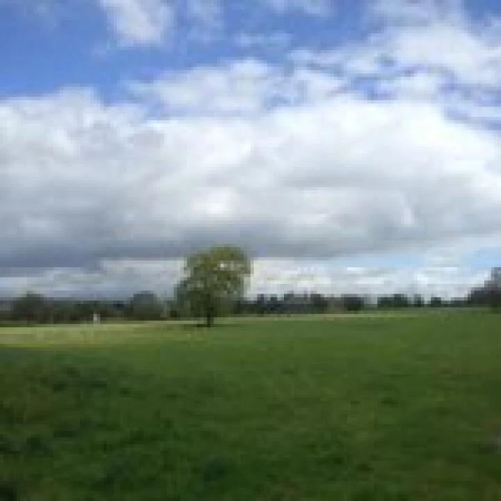 Taylor Wimpey Development