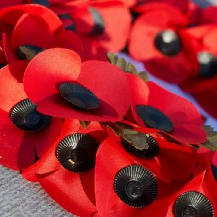 poppies