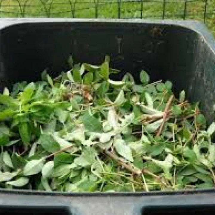 Garden Waste